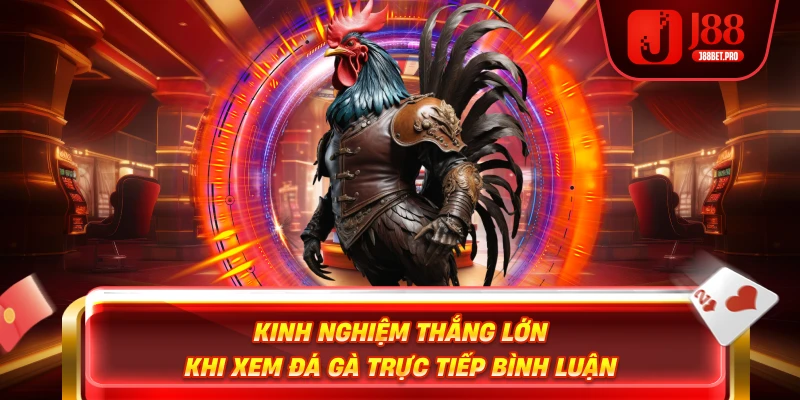 Kinh nghiệm thắng lớn khi xem đá gà trực tiếp bình luận