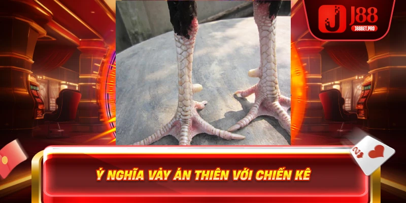 Ý nghĩa vảy Án Thiên với chiến kê